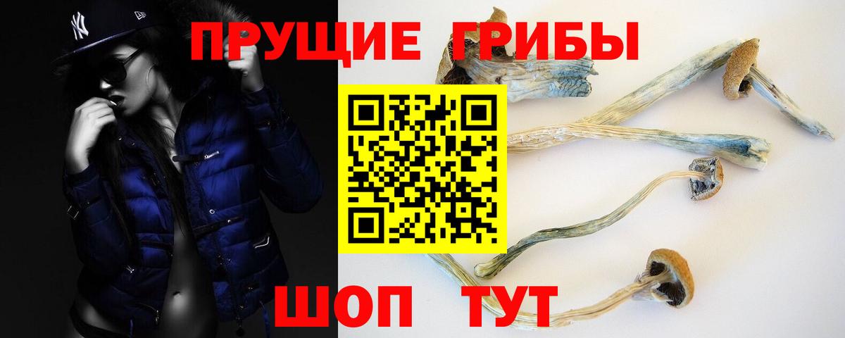 Галлюциногенные грибы мицелий Светлоград